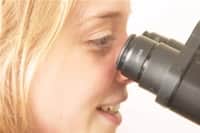 check for understanding microscope