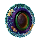 Biology Flu Virus