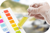 Acids Bases pH Scale